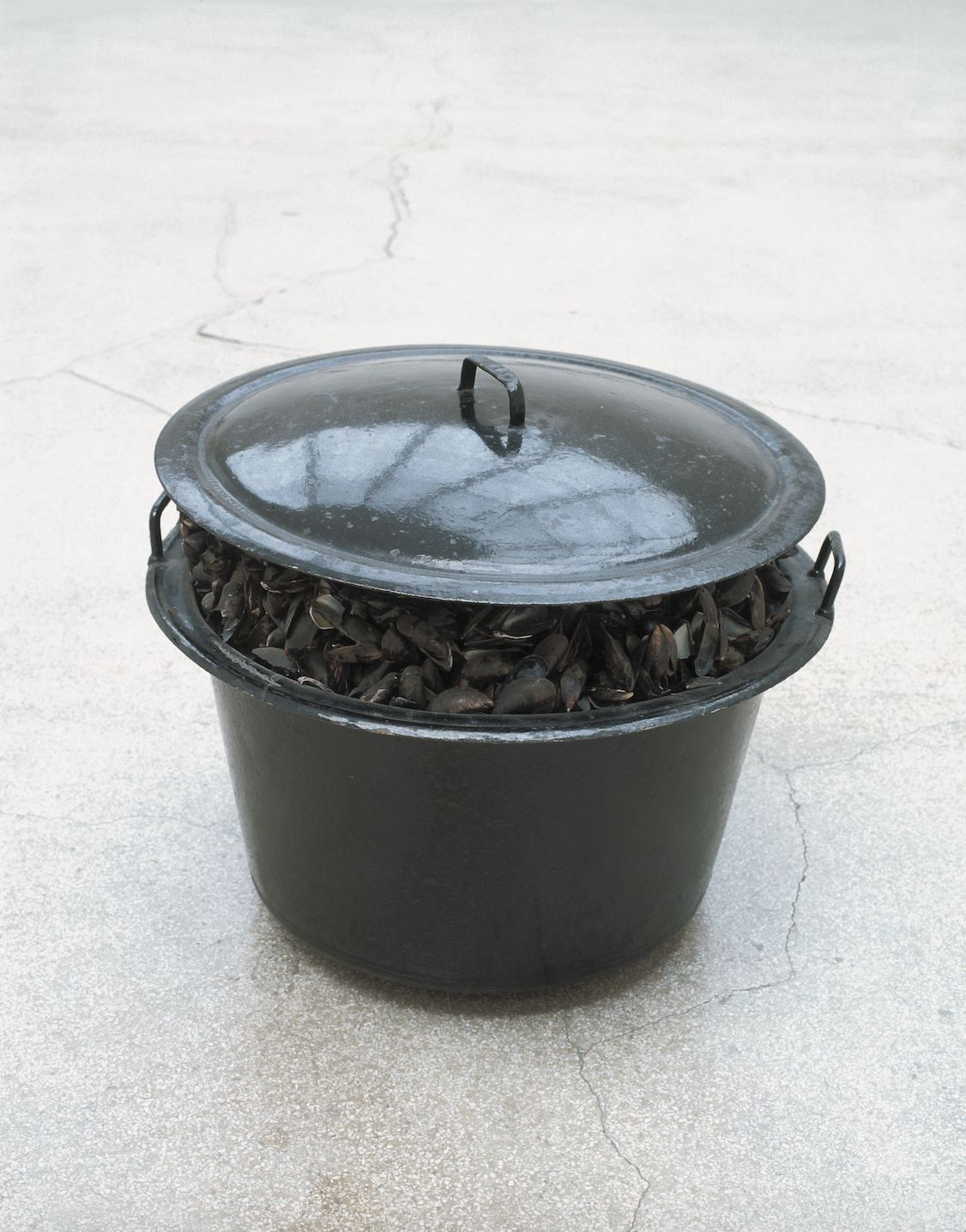 Marcel Broodthaers, Grande Casserole de Moules, 1966, métal, coquilles de moules, prêt Amis du S.M.A.K. Photo : Dirk Pauwels.